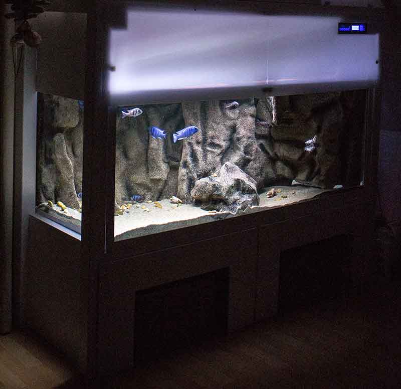 tanzania vorstellung