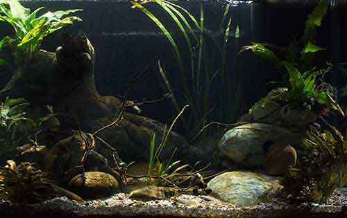 "Smaugs Einöde" rechts