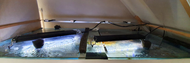 ShellsKitchen vor Wartung