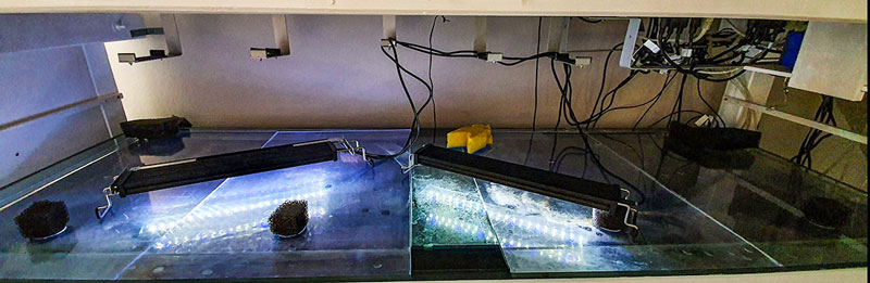 TangaCave vor Wartung